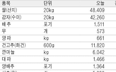 [농수산물 시세] 재고 늘면서 양파값 하락세…평년보다 30% 이상 떨어져