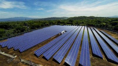 Đấu thầu giá mua điện mặt trời: Doanh nghiệp trong nước chưa đấu… đã thua?