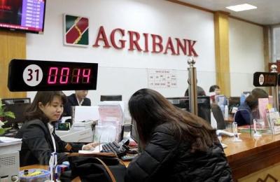 Agribank đấu giá khoản nợ hơn 708 tỷ với giá khởi điểm 356 tỷ đồng