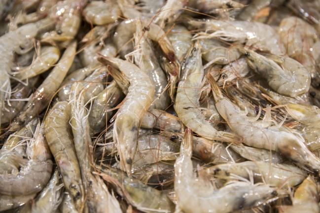 © Bloomberg. Shrimp are displayed for sale inside a hypermarket in China. 