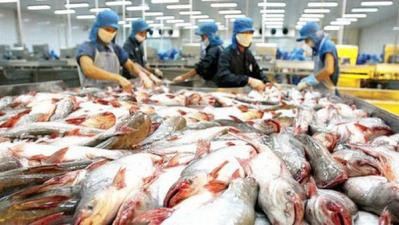 Trung Quốc vẫn là thị trường lớn nhất cho xuất khẩu cá tra Việt Nam