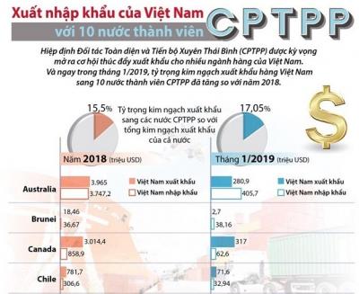 [Infographics] Xuất nhập khẩu Việt Nam với 10 nước thành viên CPTPP