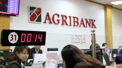 Agribank đấu giá loạt bất động sản để thu hồi nợ