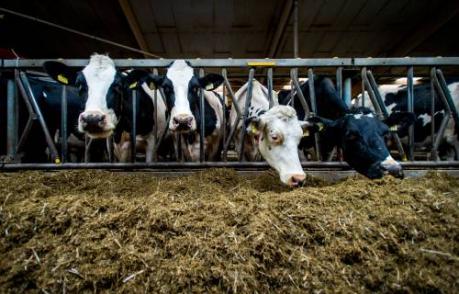 Operationeel directeur ForFarmers vertrekt