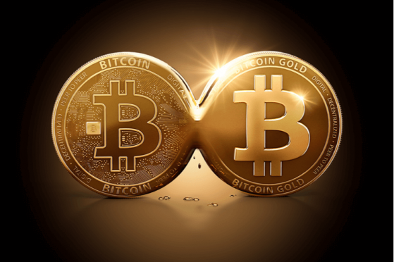  Bitcoin Gold (BTG) Faces Challenge of ASIC Mining, Considers Resistance 