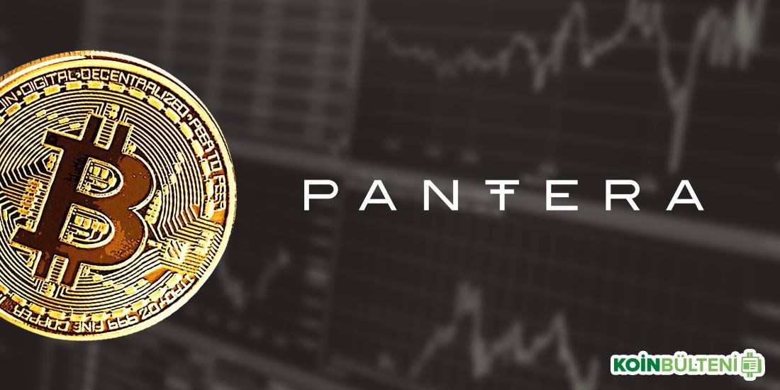 Kripto Para Piyasası Düşerken, Pantera’nın Risk Fonu Yüzde 60 Arttı