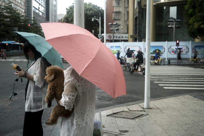 © Bloomberg. A woman with an umbrella carries a dog while waiting at a signal light as rain falls in Shenzhen, China, on Thursday, June 7, 2018. China's efforts to connect the world's third-biggest bond market with the international financial system are hitting dual headwinds -- a climb in global borrowing costs, and the country's own campaign to reduce financial leverage. 