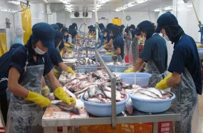 Hoa Kỳ sẽ sớm công nhận hệ thống quản lý cá da trơn của Việt Nam