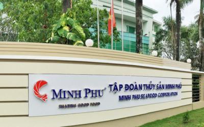 MPC mở cửa "đỏ giá" trước tin bán cổ phiếu quỹ với giá 10,000 đồng/cp