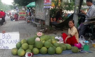 Trung Quốc giảm nhập bưởi và sầu riêng Việt