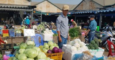 Cà rốt, bông cải Việt Nam đã 'đánh bại' được hàng Trung Quốc