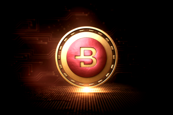  Bytecoin (BCN) Offers Auditable Coins Option 
