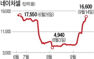 회장 구속됐는데도 연일 급등 '미스터리'… 네이처셀 '세력들의 놀이터' 됐나