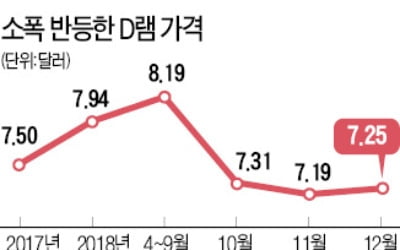 D램 가격 '깜짝 반등'했지만…내년 전망 여전히 '흐림'