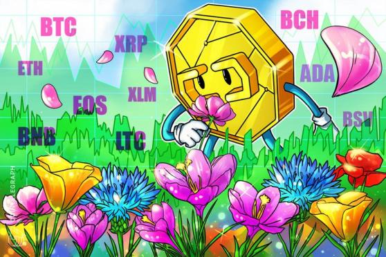 BTC, ETH, XRP, LTC, BCH, EOS, BNB, BSV, XLM, ADA: Price Analysis 10/06