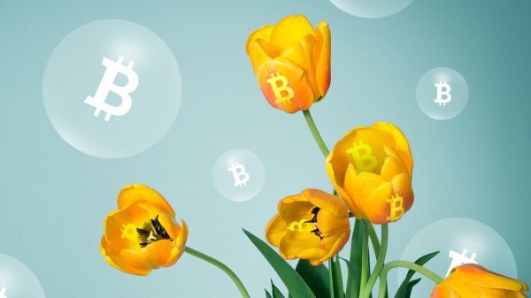 Rapor: 2019’da Kazanan Bitcoin Olacak! Neden Mi?
