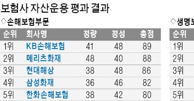 NH농협생명, 해외 대체투자 확대…KB손해보험, IFRS 선제적 대응