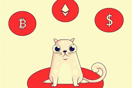  Court Slaps Preliminary Injunction on Axiom Zen over CryptoKitties Collectibles 