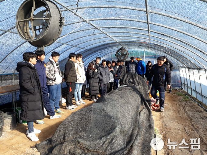 김해시 ‘청년 농업인 영농정착 지원사업’ 모집