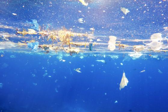  Plastic Bank Harnesses Blockchain to Rid Oceans of Plastic Garbage 