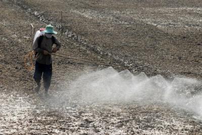 Loại bỏ thuốc diệt cỏ Glyphosate độc hại khỏi Việt Nam