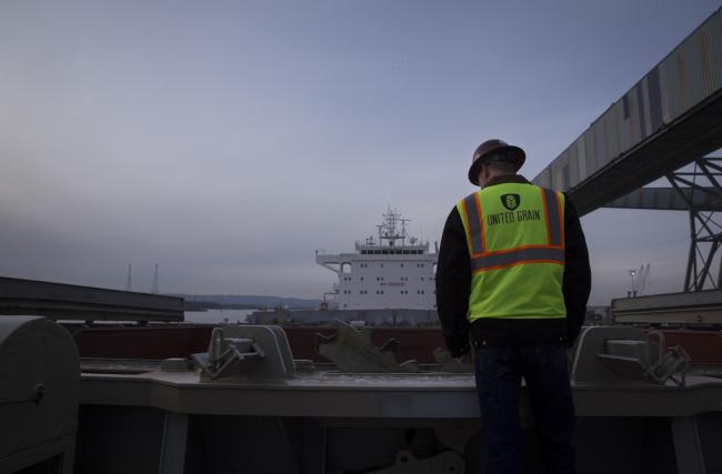 © Bloomberg. A United Grain Corp. employee stands on a ship. Photographer: Moriah Ratner/Bloomberg