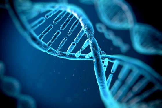  Nebula Raises $4.3M to Build Blockchain Marketplace for Genomic Data 