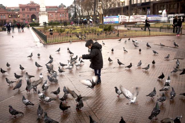 © Bloomberg. A child feeds pigeons in the Plaza de Mayo in Buenos Aires, Argentina. 