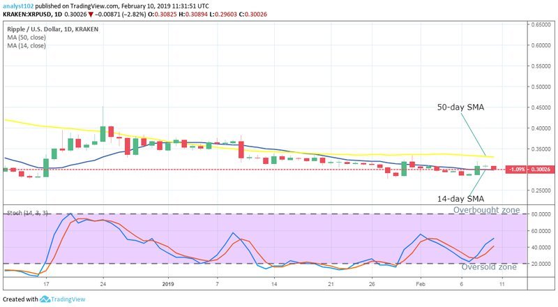 Ripple Fiyat Analizi: XRP Hangi Yönde İlerleyecek?