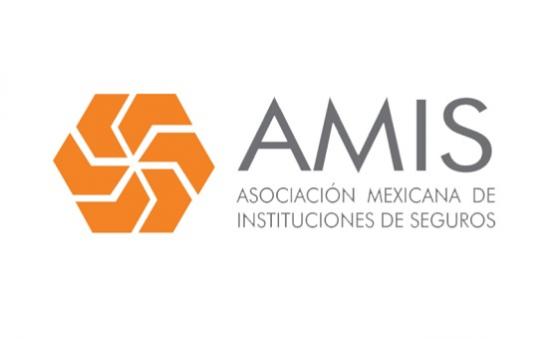 Verisk, AMIS lanzan índice de pérdidas por catástrofes México