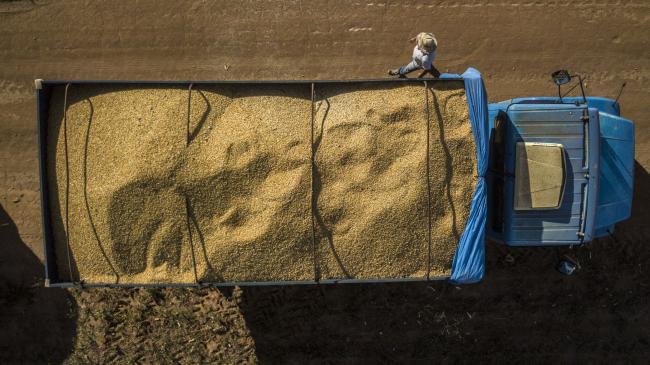 Brazil Soy Farmers Spend More to Exploit Their Trade War Edge