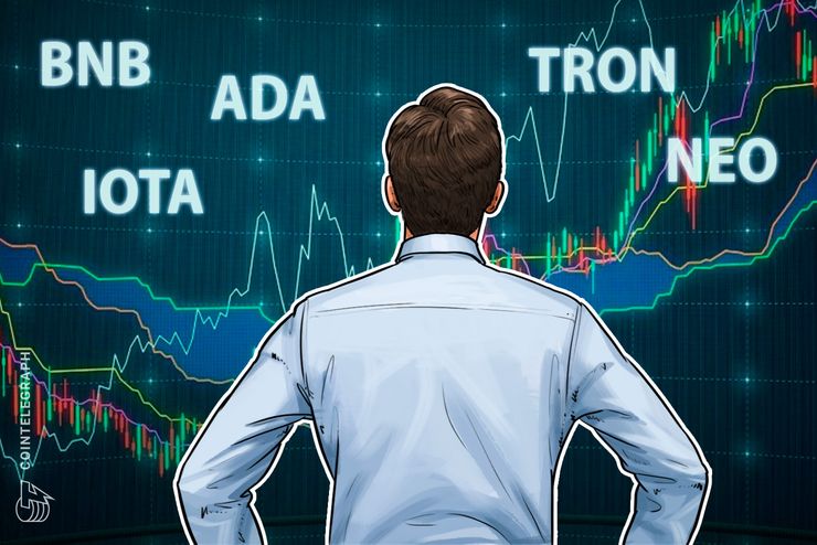 Top 5 Crypto Performers Overview: Binance Coin, Cardano, IOTA, Neo, Tron