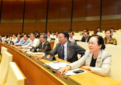 Quốc hội giao quyền cho Chính phủ lựa chọn chủ đầu tư sân bay Long Thành
