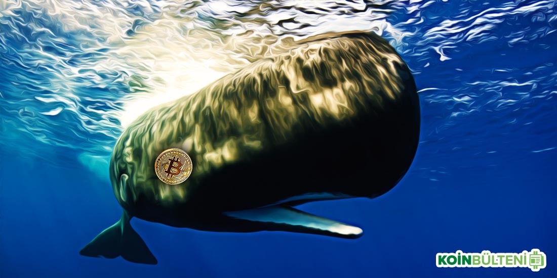 Bitcoin Balinalarının Son 2 Aylık Hareketleri ‘Şüphe’ Uyandırıyor!