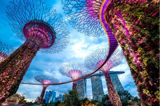  Singapore Injects Good Vibes for Decentralized Exchanges 