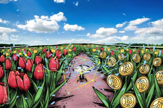 Exec of $5.1 Trln Investment Firm Makes Tired Comparison of Crypto to Tulips