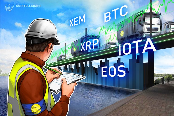 Resumen de los 5 principales criptoactores: XEM, Ripple, EOS, Bitcoin, IOTA 