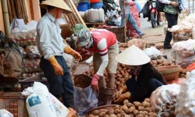 Bộ Công Thương: 'Không có chế tài xử lý nông sản 'đội lốt' hàng Việt'