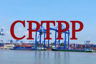 Thủ tướng đã ký Nghị định Biểu thuế xuất khẩu ưu đãi và nhập khẩu ưu đãi đặc biệt thực hiện CPTPP
