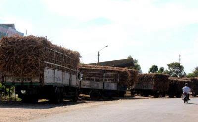 “Bán mình” hay đóng cửa?