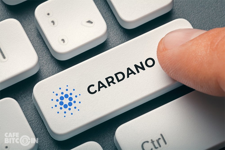 Ra mắt Cardano 1.4 – Bản cập nhật thay đổi cách lưu trữ và quản lý dữ liệu