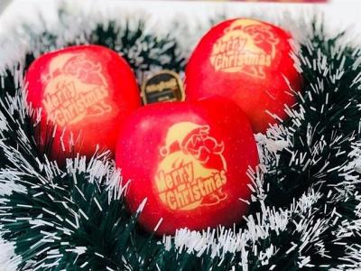 Nửa triệu đồng trái táo in hình ông già Noel