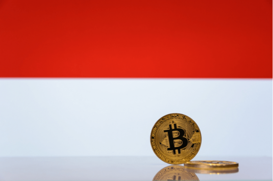  Indonesia Ex-Finance Minister Offers Fix for Bitcoin Risks 