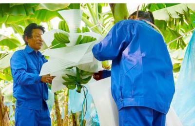 Công ty con của Trường Hải vừa gom 4 triệu cp HNG