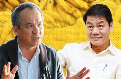 Trân Oanh đã mua gần 38 triệu cp HNG từ ông Trần Bá Dương?