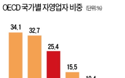 정부 &quot;자영업, 이젠 中企 일부 아닌 독자산업&quot;…전문가 &quot;최저임금 차등화 등 언급 없어 한계&quot;