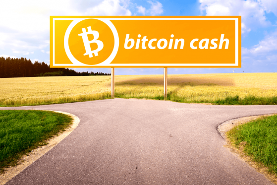  The Bitcoin Cash (BCH) Hash Wars Led to Large Indirect Losses 