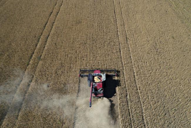 © Bloomberg. Soybeans are harvested with a Case IH Agricultural Equipment Inc. combine harvester in this aerial photograph taken above Princeton, Illinois, U.S., on Friday, Sept. 29, 2017. 