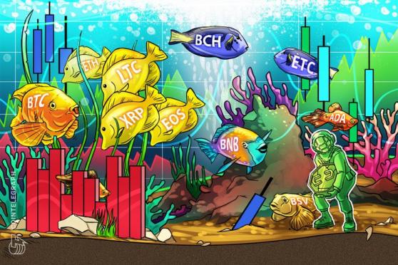 Price Analysis Jan 29: BTC, ETH, XRP, BCH, BSV, LTC, EOS, BNB, ETC, ADA