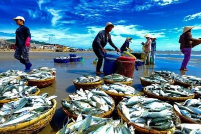Việt Nam có thêm thời gian kiểm tra khắc phục “thẻ vàng” thủy sản
